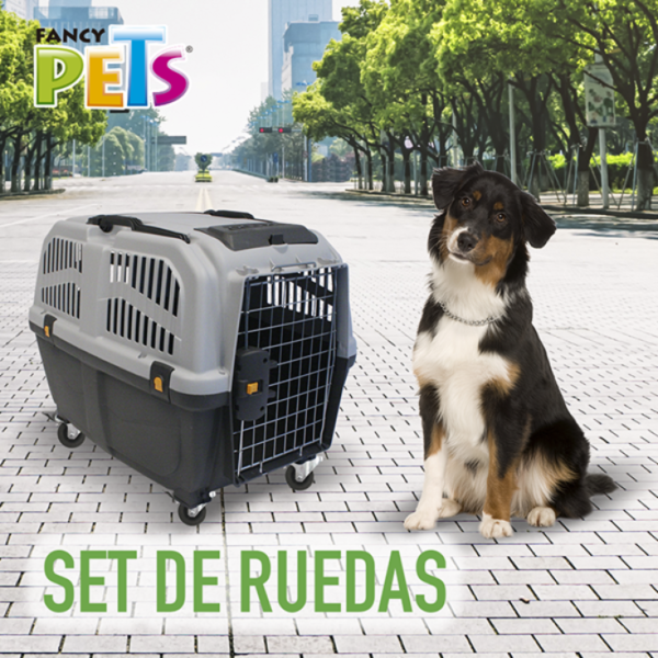 Fancy Pets Set de Redas Para Transportadora Skudo IATA 4/5/6/7/8 - Imagen 4