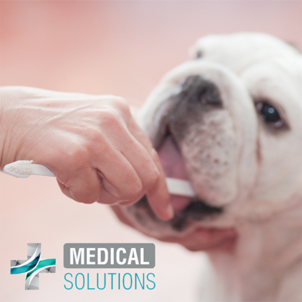 Medical Solutions Kit Dental Antisarro Para Perros - Imagen 3