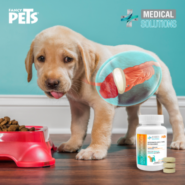 Medical Solutions Probióticos P/Perros Y Gatos 60 Tabletas - Imagen 3