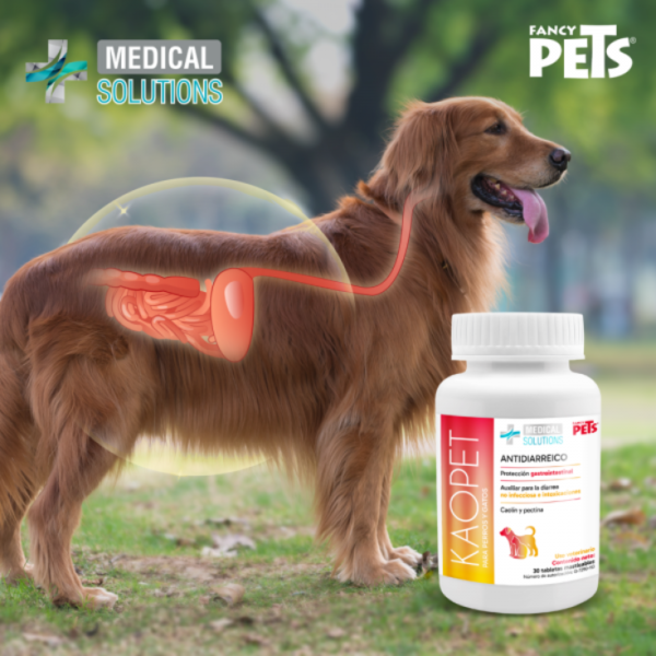 Medical Solutions Kaopet Antidiarreico P/Perros Y Gatos 30 Tabletas - Imagen 3