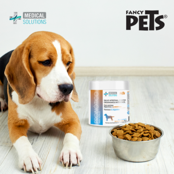 Medical Solutions Probióticos En Polvo P/Perros Pack de 2 Botes de 90 Gr - Imagen 3