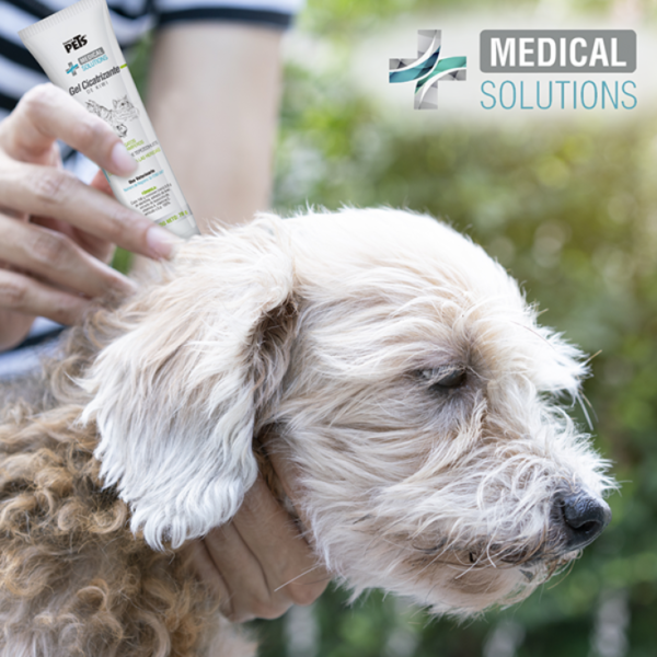 Medical Solutions Gel Cicatrizante de Kiwi 70 Gr - Imagen 5