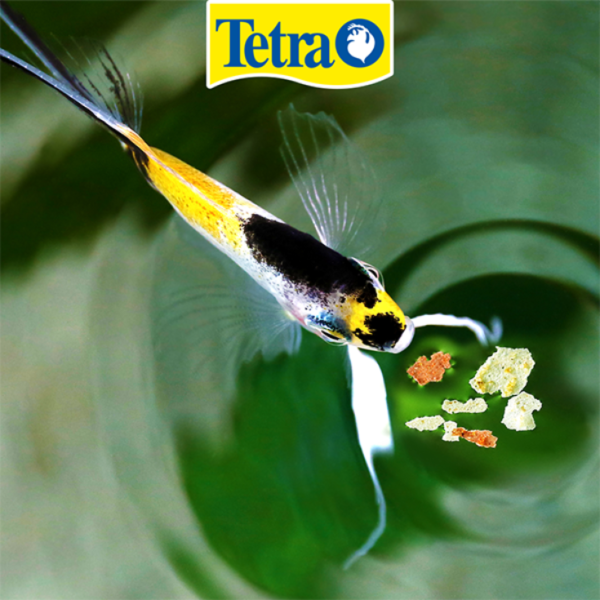 Tetra Tetracolor Tropical Flakes Pack de 2 Botes de 200 Gr - Imagen 3
