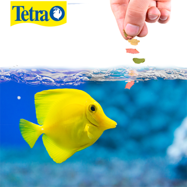 Tetra Tetramarine Saltwater Flakes Pack de 2 Botes de 160 Gr - Imagen 3