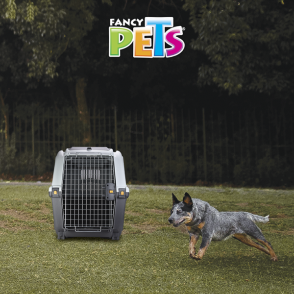 Fancy Pets Transportadora Skudo Iata 6 - Imagen 4