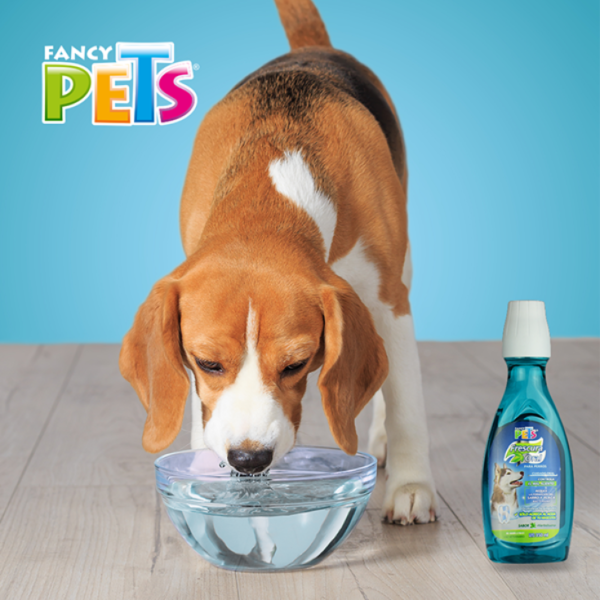 Fancy Pets Refrescante De Aliento 350 mL - Imagen 3
