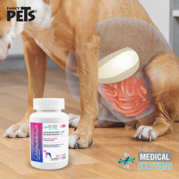 Medical Solutions Carbodetox P/Perros 60 Tabletas - Imagen 4