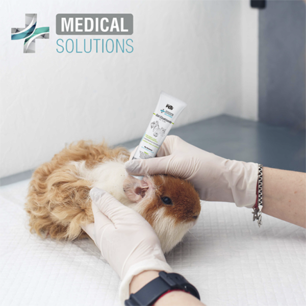 Medical Solutions Gel Cicatrizante de Kiwi 70 Gr - Imagen 4