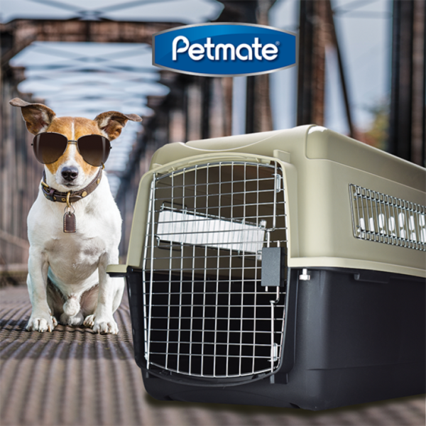 Petmate Transportadora Vari Kennel Mediana - Imagen 3