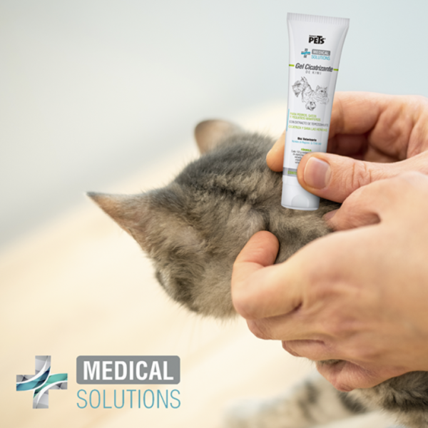Medical Solutions Gel Cicatrizante de Kiwi 70 Gr - Imagen 7