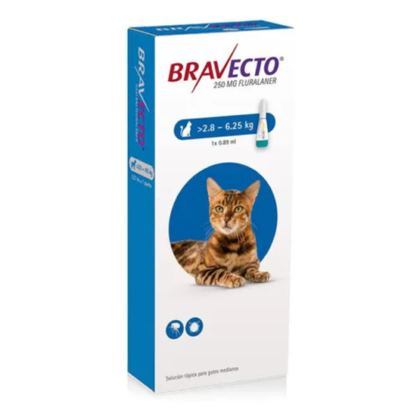MSD Bravecto Plus Cat 250 Mg Pipeta