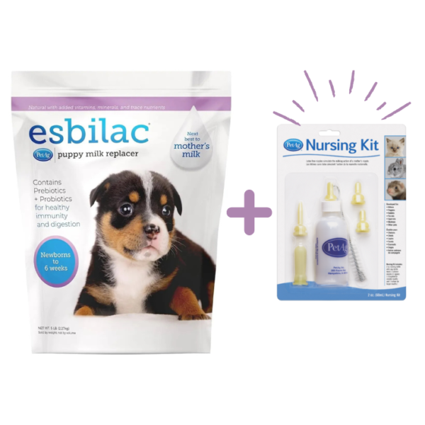 PetAg Esbilac Sustituto De Leche en Polvo Para Cachorros 2.27 Kg + Kit De Lactancia