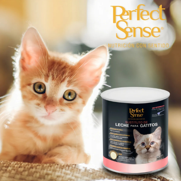 Perfect Sense Sustituto de Leche Para Gatitos 360 Gr - Imagen 6