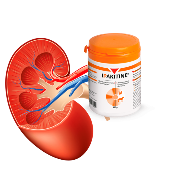Vetoquinol Ipakitine 60 Gr - Imagen 2