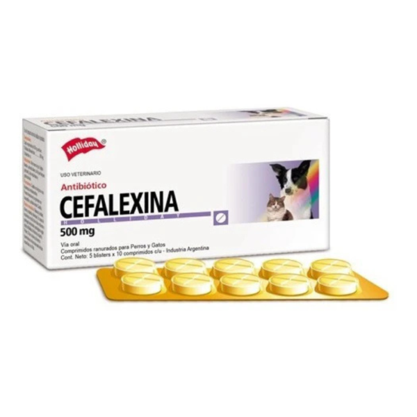Holliday Cefalexina 500 Mg